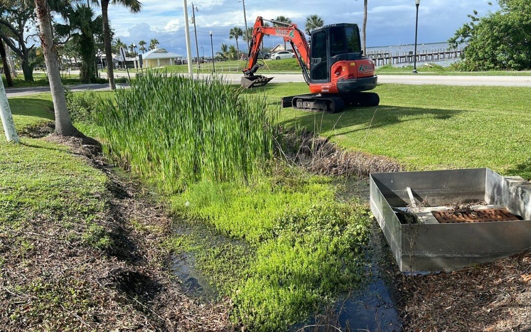 Sebastian: Retention Pond Cleanup