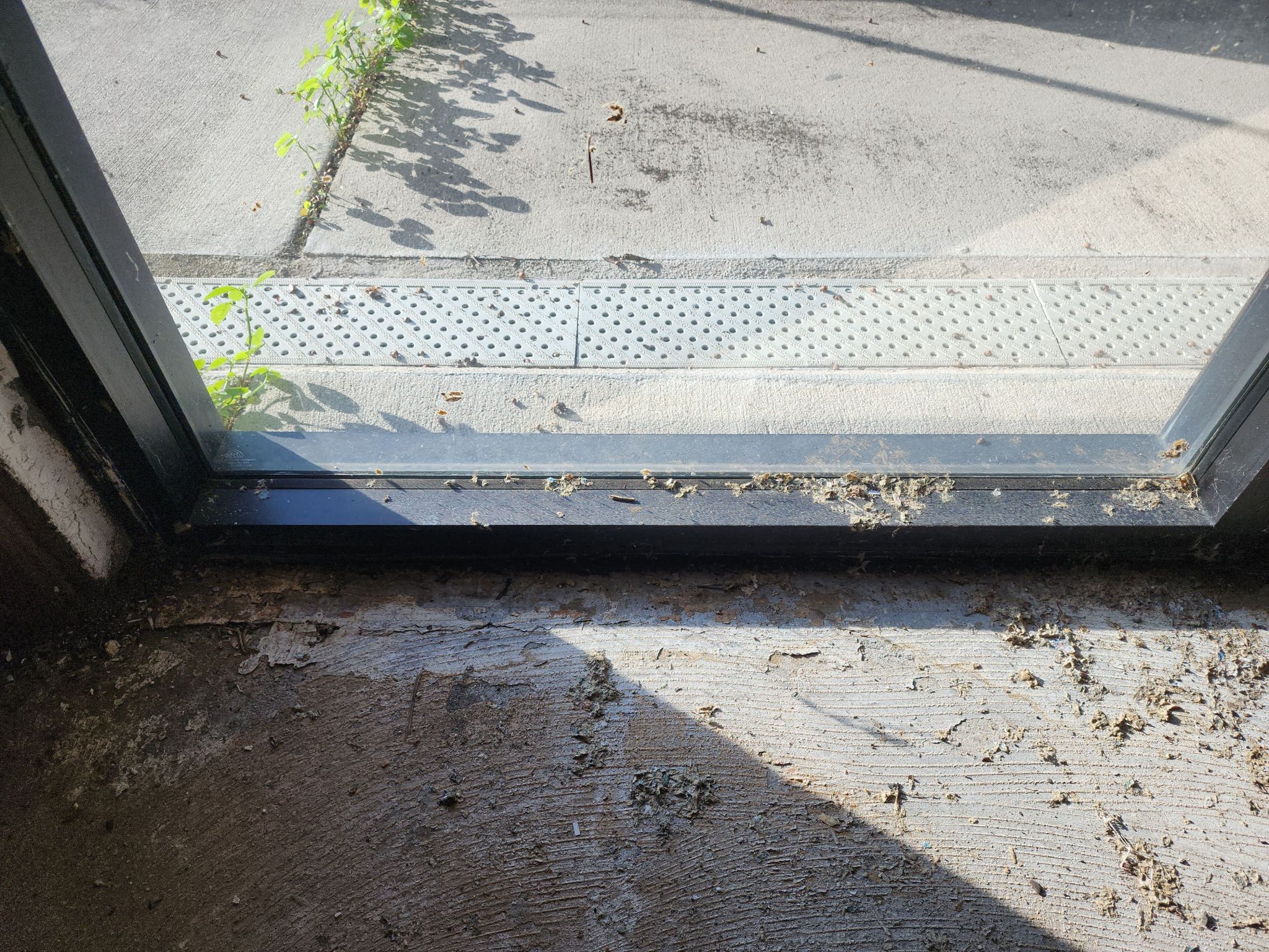 Concrete sidewalk repair to correct improper grading that caused water intrusion into an office building in Orlando, Florida